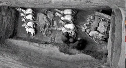 Archive view of excavation of bronze chariots and horses